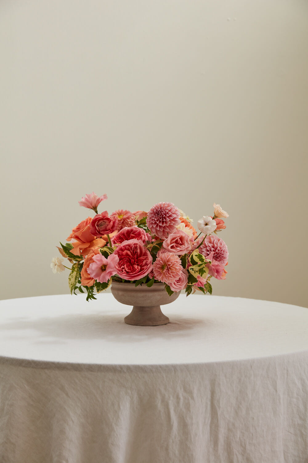 Winnie Compote, Small