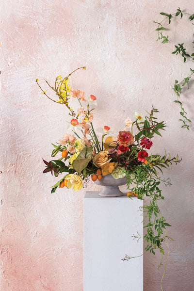 Winnie Compote, Small