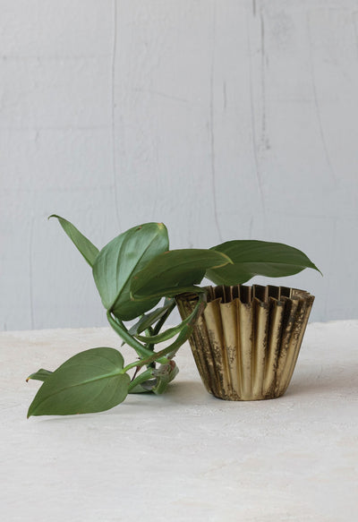 Fluted Metal Planter, Brass Finish, 4"