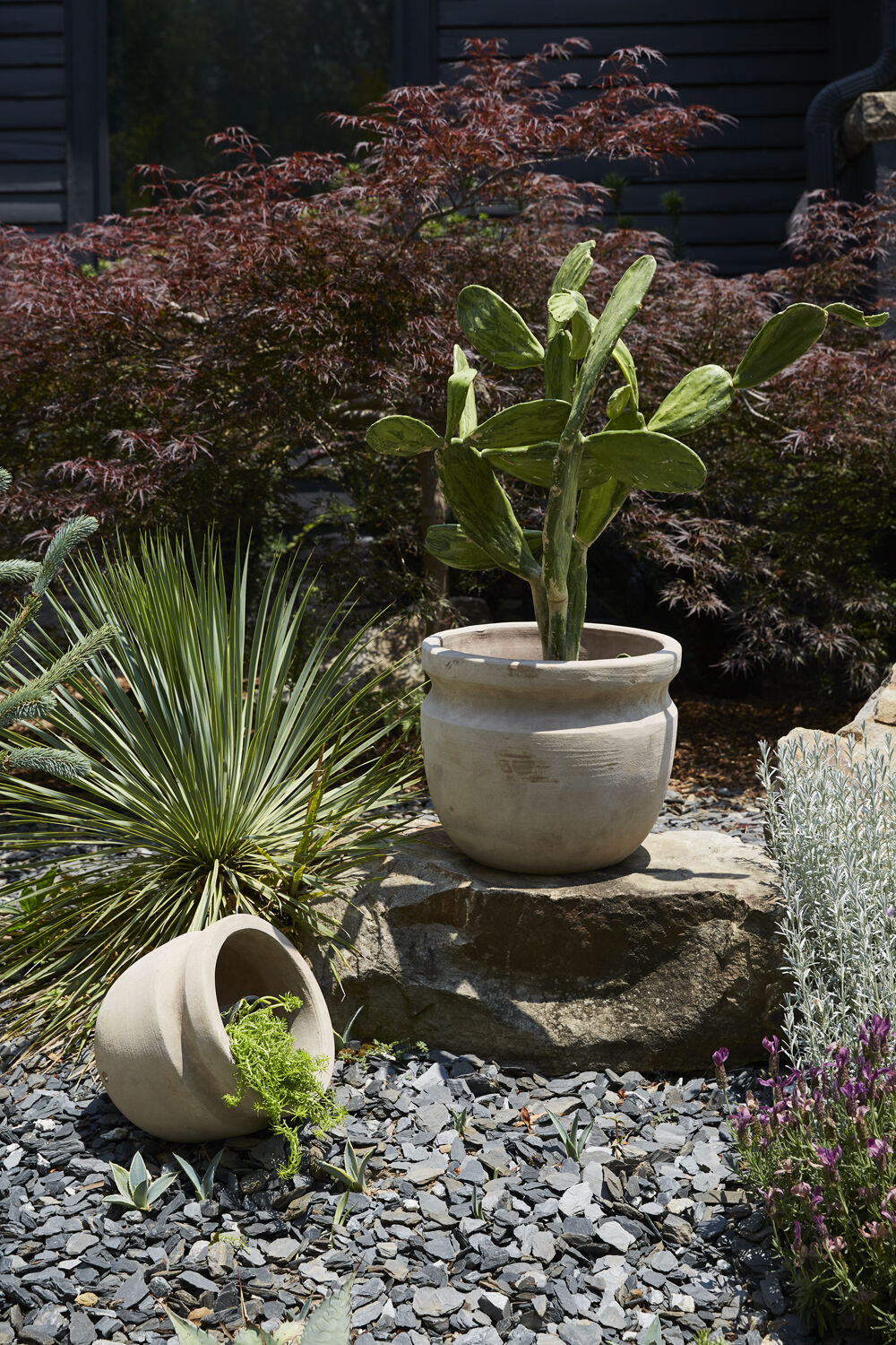 Terracotta Balos Planter, 13"