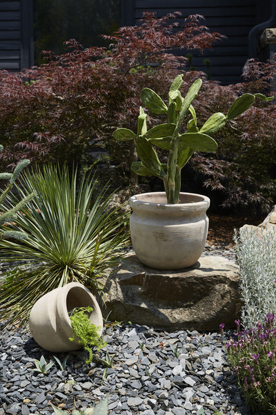 Terracotta Balos Planter, 13"
