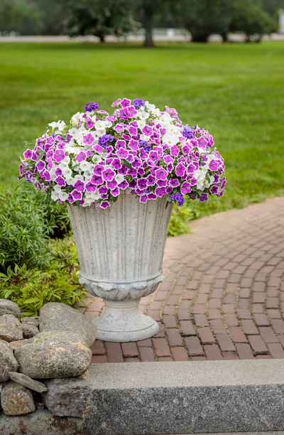 PW 22" Boston Urn Planter, Greige Stone