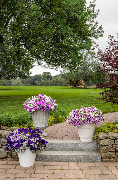 PW 22" Boston Urn Planter, Greige Stone