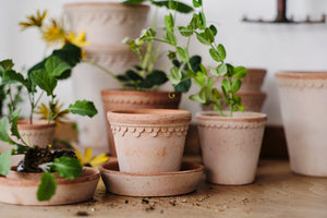 Garden Goods - Bast Brothers Garden Center