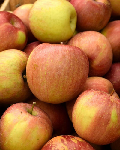 Fuji Apple #5-Super