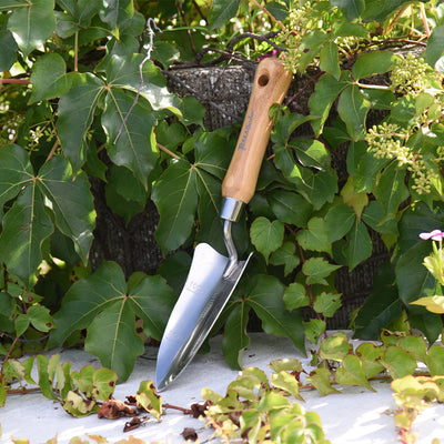 Stainless Steel Transplanter with Bamboo Handle