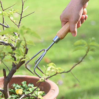 Stainless Steel Cultivator with Bamboo Handle