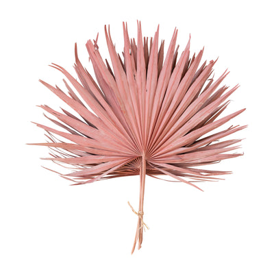 Dried Palm Leaf Bunch, Pink
