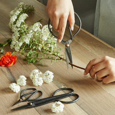 Garden Shears, Set of 3
