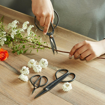 Garden Shears, Set of 3