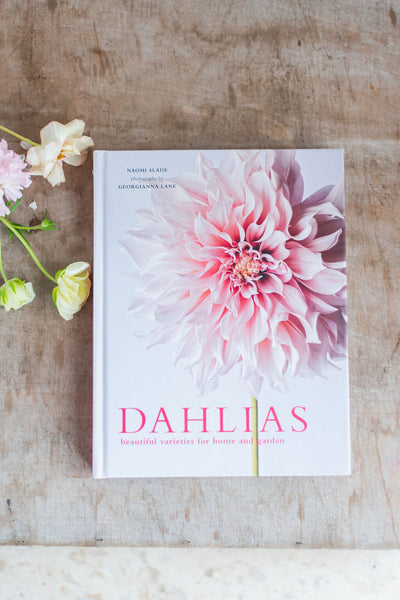 Dahlias: Beautiful Varieties