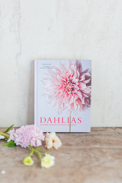 Dahlias: Beautiful Varieties