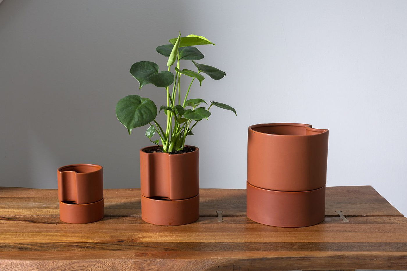 Jett Pot 6"x 7", Terracotta