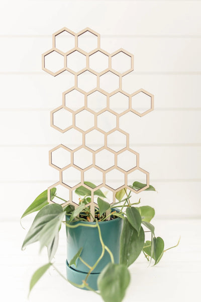18.5" Honeycomb Plant Trellis