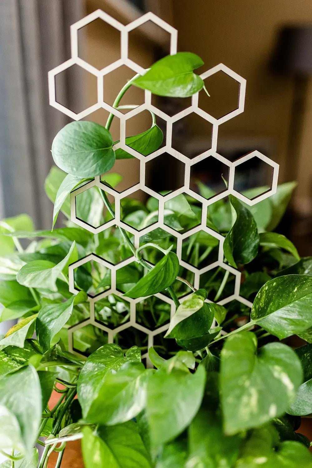 18.5" Honeycomb Plant Trellis
