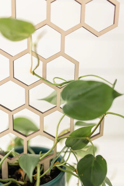 18.5" Honeycomb Plant Trellis