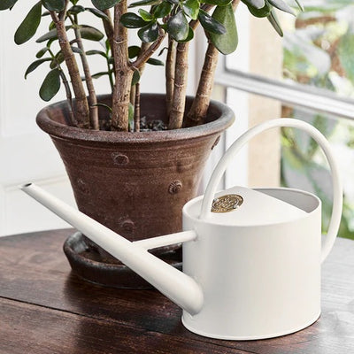 Sophie Conran - Indoor Watering Can - Buttermilk