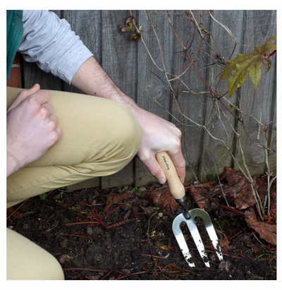 RHS Stainless Hand Fork