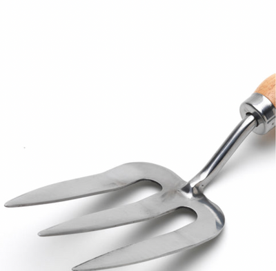 Budding Gardener Hand Fork