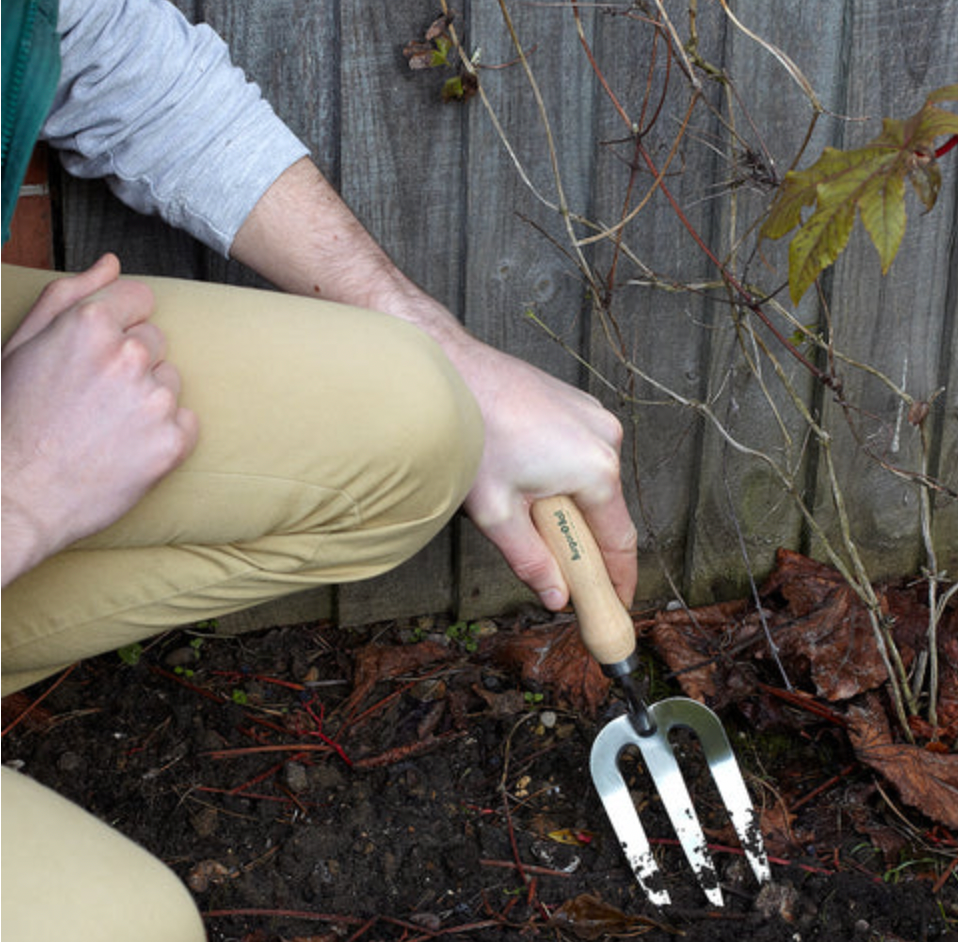 Budding Gardener Hand Fork