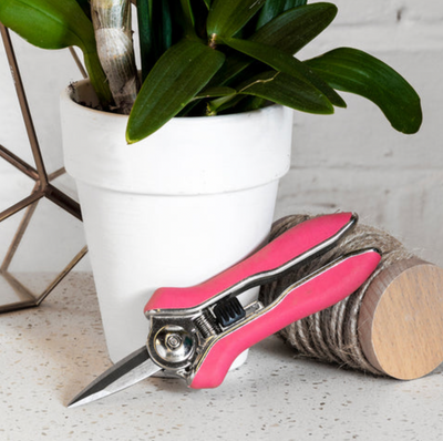 Orchid Snips