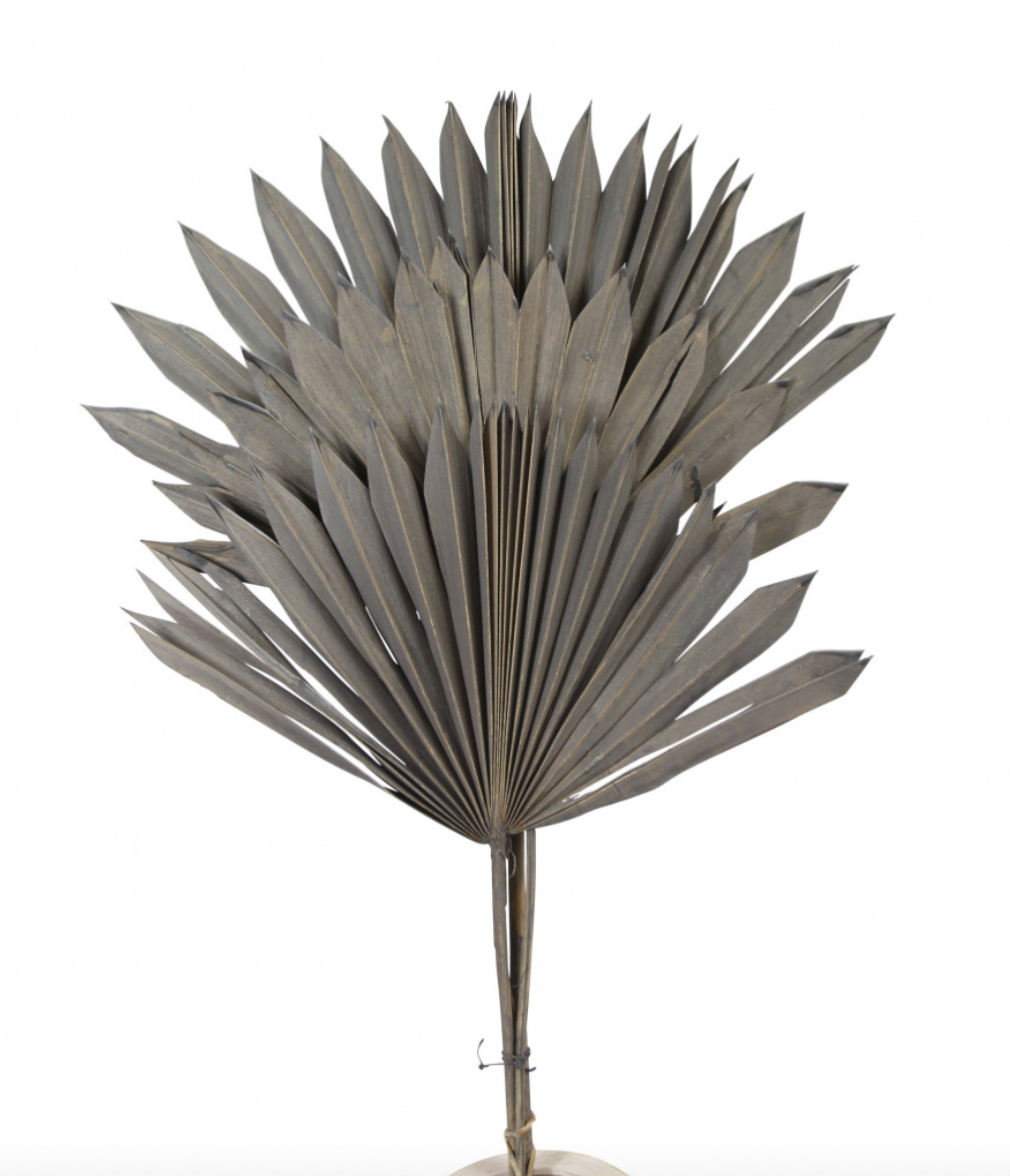 Palm Leave - Sun Cut - Grey Wash - 3 stem