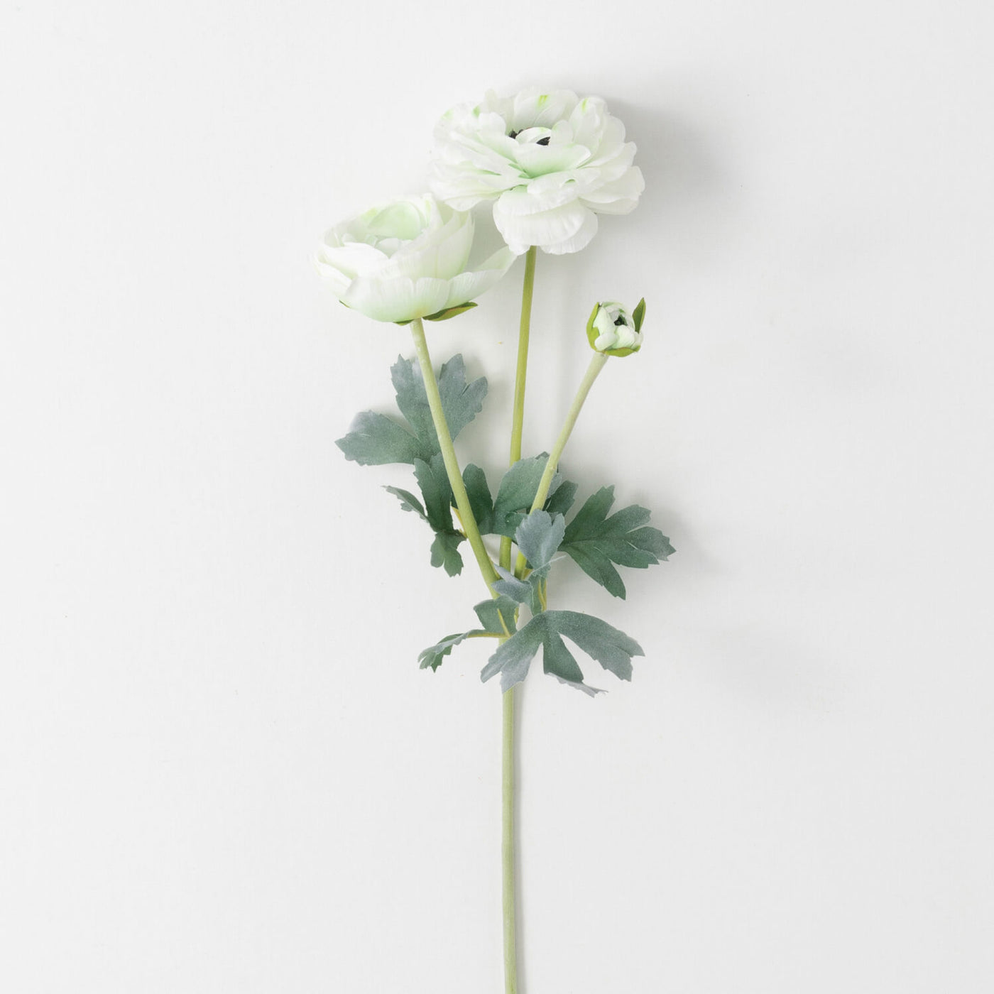 Real Touch Garden Ranunculus Stem, White