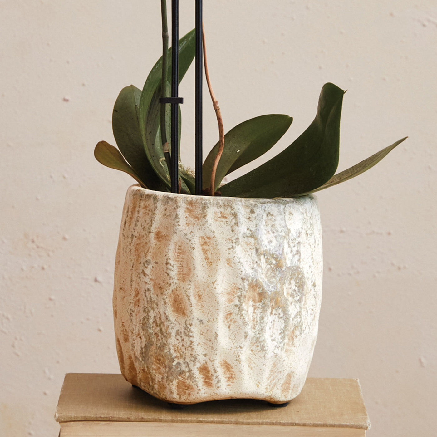 Cream Reactive Glaze Terracotta Planter, 5"